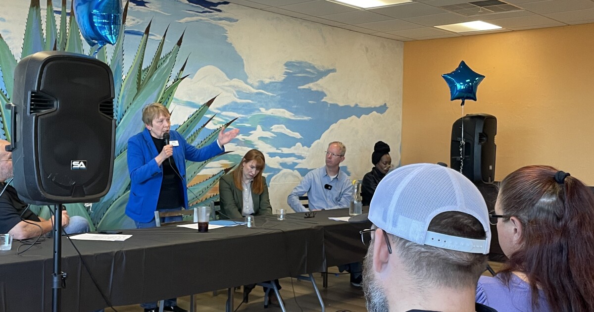 Democrats running in 2nd District focus on affordability, labor in northeast Iowa forum