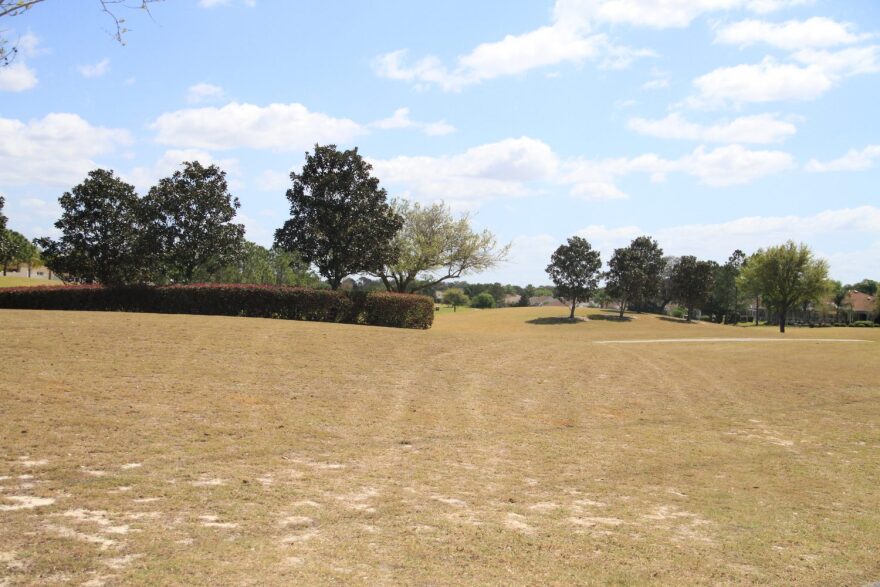 The grass near the Lopez Legacy Country Club is starting to brown following cutbacks on water use. The director of The Villages’ District Property Management Department said the community is only watering the grass when it shows signs of stress. (Meagan Meredith/WUFT News)