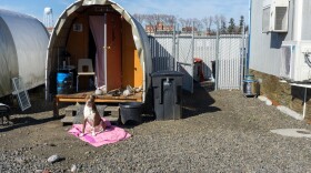 A dog sits in front of a horseshoe-shaped shelter