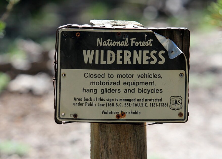 National Forest Wilderness Sign