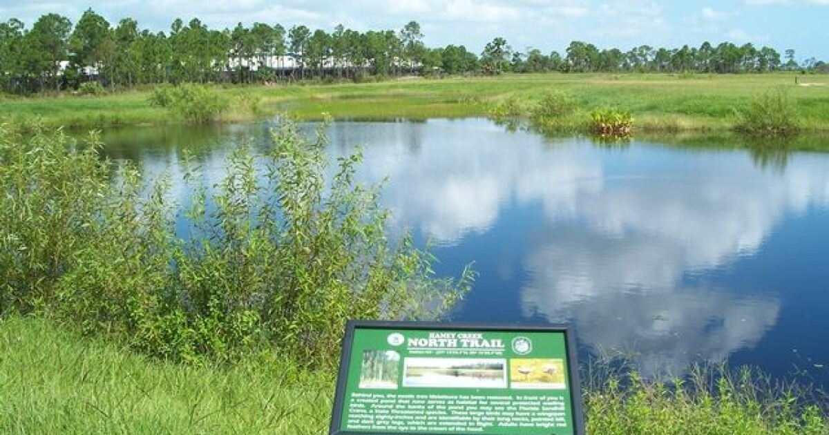 Stuart voters to decide future of Haney Creek parcel