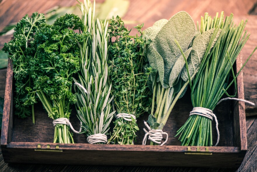 close view on fresh herbs bunch