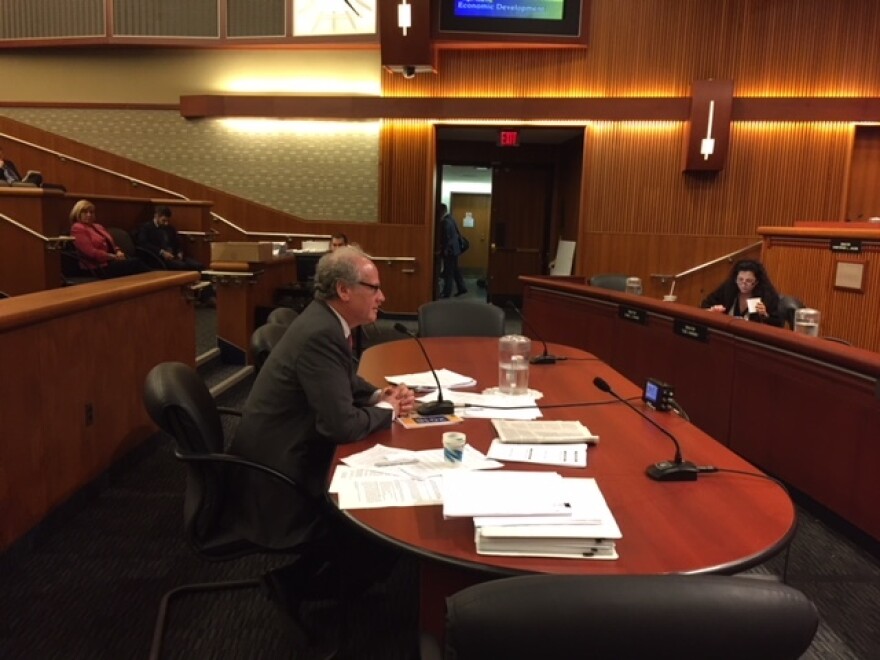 Howard Zemsky, the chair of the Empire State Development agency, speaks at Monday's hearing.