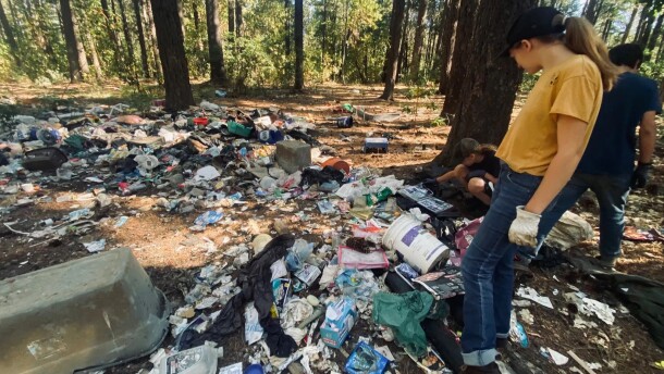 Volunteers with The Motherline clean up trash in the woods.