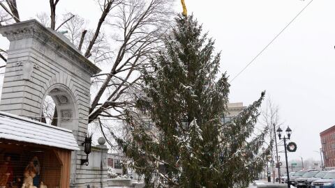 A nativity scene and Christmas tree on Main Street in Concord near the State House.