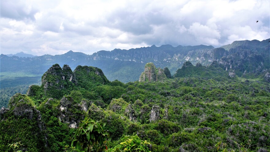 Archaeologists found the cave paintings in limestone caves in remote mountains at the eastern edge of the island of Borneo, a part of Indonesia called Kalimantan.
