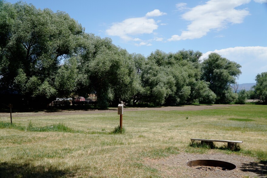 Many of the trees originally planned for removal form a line along the side of the space where new campsites are planned. Utah State Parks representatives say large branches that hang over areas where people will camp, walk and drive pose a safety threat.