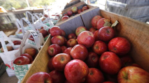 Apples are displayed for sale at the Apple Acres orchard, in Hiram, Maine. (Robert F. Bukaty/AP)