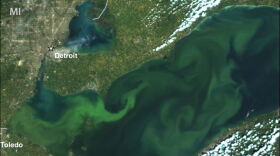 The lawsuit claims the U.S. EPA isn't taking legally mandatory actions to address cyanobacteria blooms in western Lake Erie