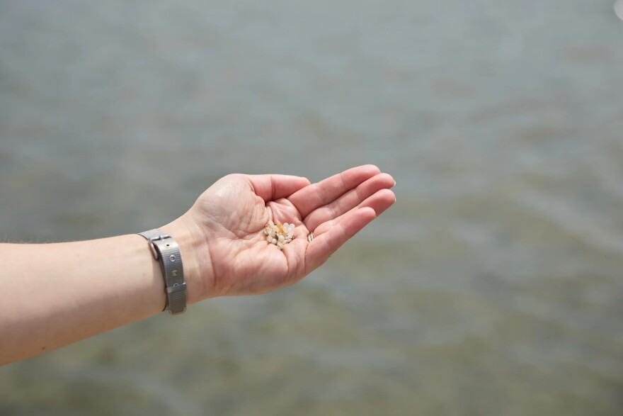 Nurdles found in waterway