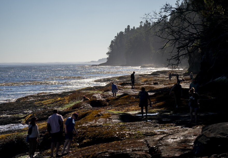 Camp attendees and other visitors navigate the slippery rocks at the Salt Creek tide pools during the 2023 Tribal Climate Camp on the Olympic Peninsula Wednesday, Aug. 16, 2023, near Port Angeles, Wash. Participants representing at least 28 tribes and intertribal organizations gathered to connect and share knowledge as they work to adapt to climate change that disproportionally affects Indigenous communities. More than 70 tribes have taken part in the camps that have been held across the United States since 2016.