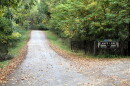 Fall colors are beginning to show along the Lampe Lane Scenic Drive near Lake Bloomington. Peak leaf-peeping is expected as soon as next week.