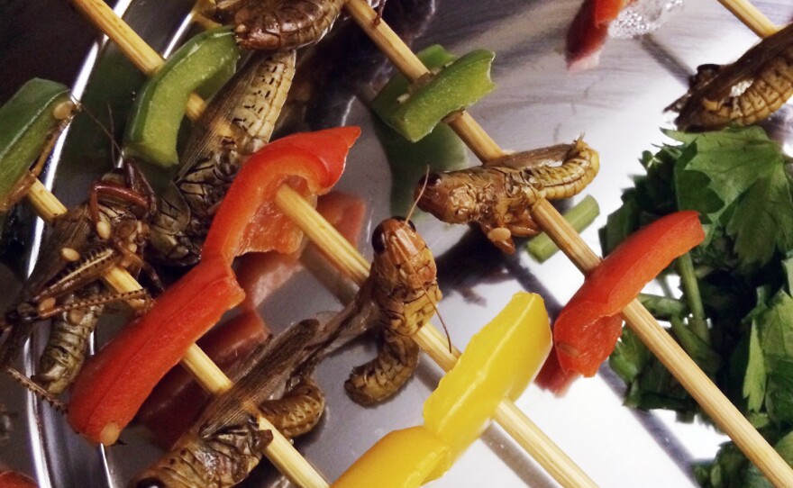 Teriyaki grasshopper kabobs