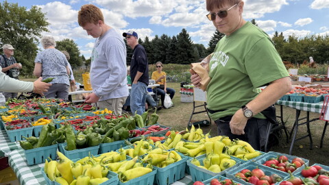 Growing Together Community Gardens | Prairie Public