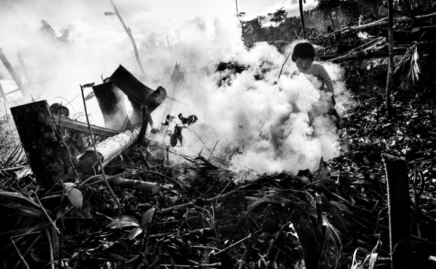 As his parents clear trees in the jungle so they can build a new home, a child plays in the smoke of burning brush and trees. In addition to the deforestation taking place from the actual gold mining process, migrant mining families who want to settle in the region and live outside of camps are also clearing swaths of the jungle as they establish new communities.