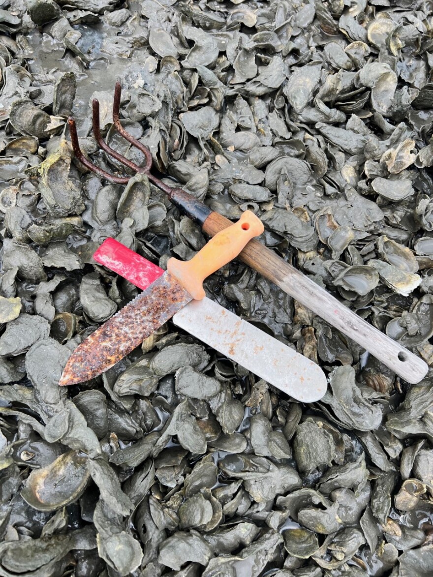 Some of Ana Shellem's harvesting tools