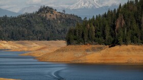 Shasta Trinity National Forest, Calif