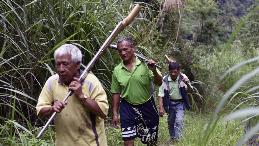 Tama Talum (center) and fellow aboriginal hunters carry shotguns in the mountains in Taitung, eastern Taiwan, on July 2. Hunting rights have been a major point of contention between indigenous Taiwanese and the government. On Monday, President Tsai Ing-wen apologized to the island's indigenous people for injustices over the centuries.