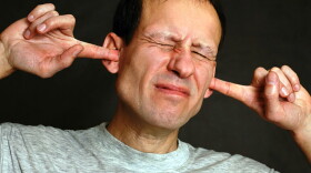Opera and rap seem to hit a nerve with many music lovers. 