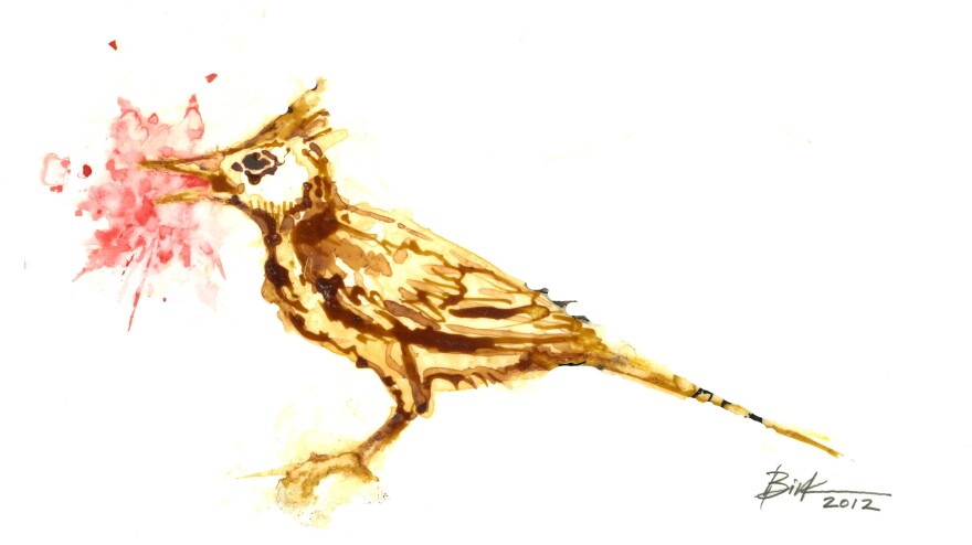 Lark without tongue.