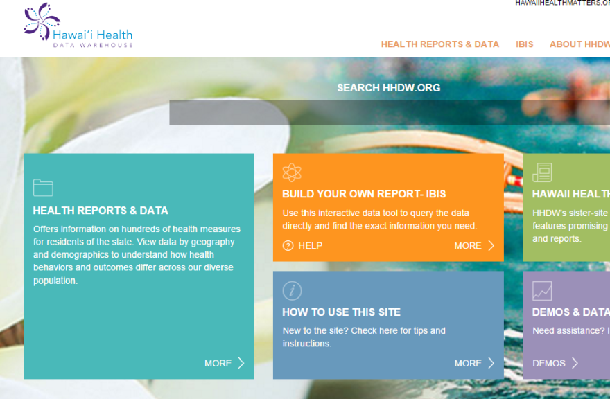 Hawaii Health Data Workshop