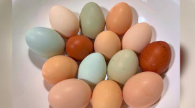 A collection of colorful chicken eggs sit in a ceramic bowl.