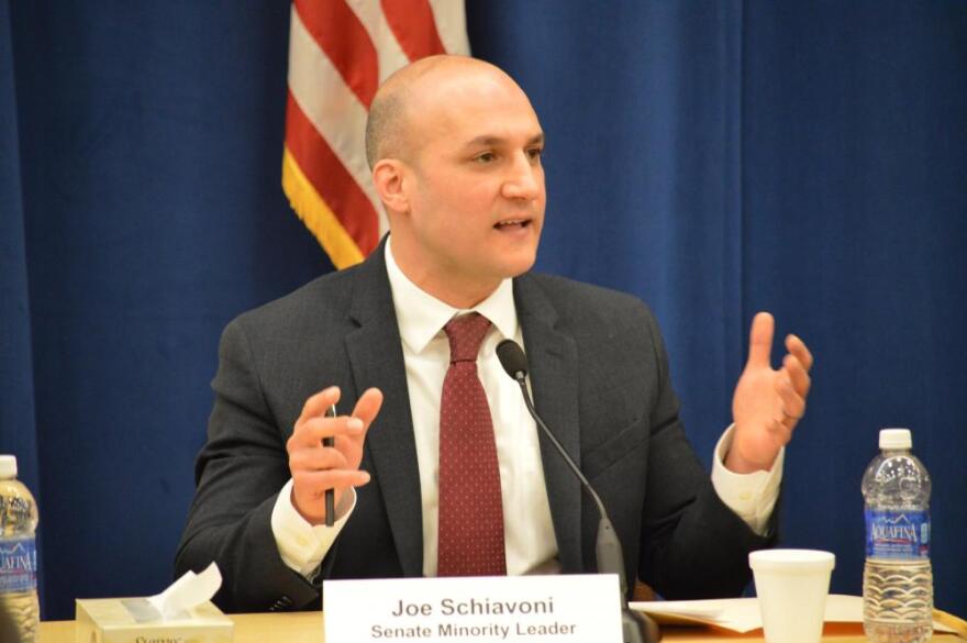 Sen. Joe Schiavoni (D-Boardman) (Andy Chow / Statehouse Bureau)