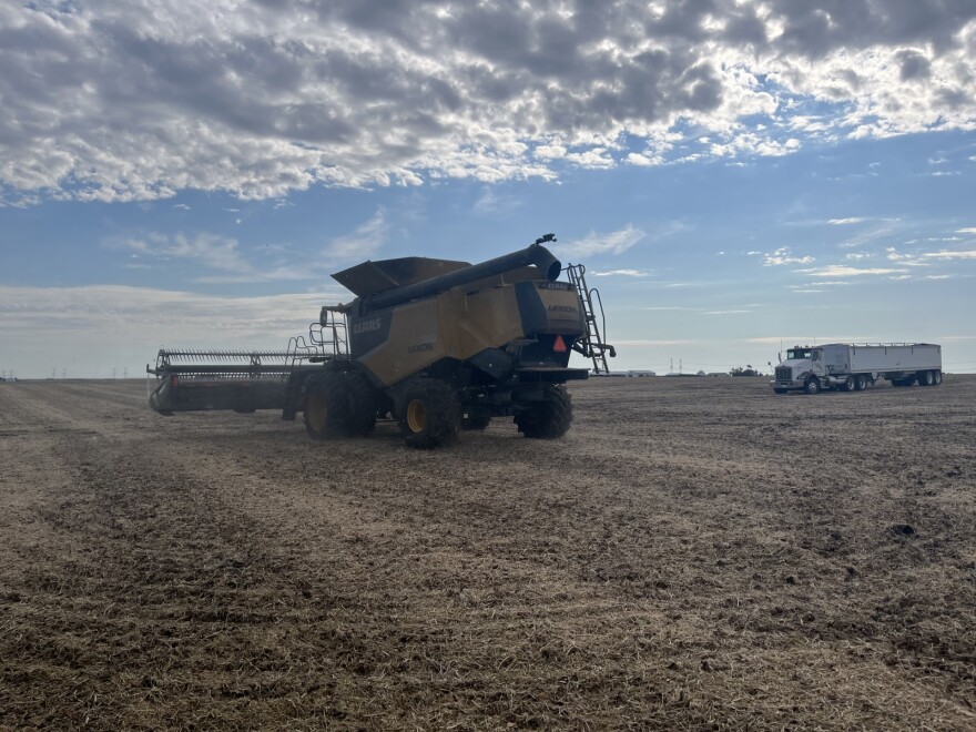 Dan Magarity's yellow Claas combine sits in the harvested soybean field between passes through crops. His son waits for the processed beans in a semi in the distance.