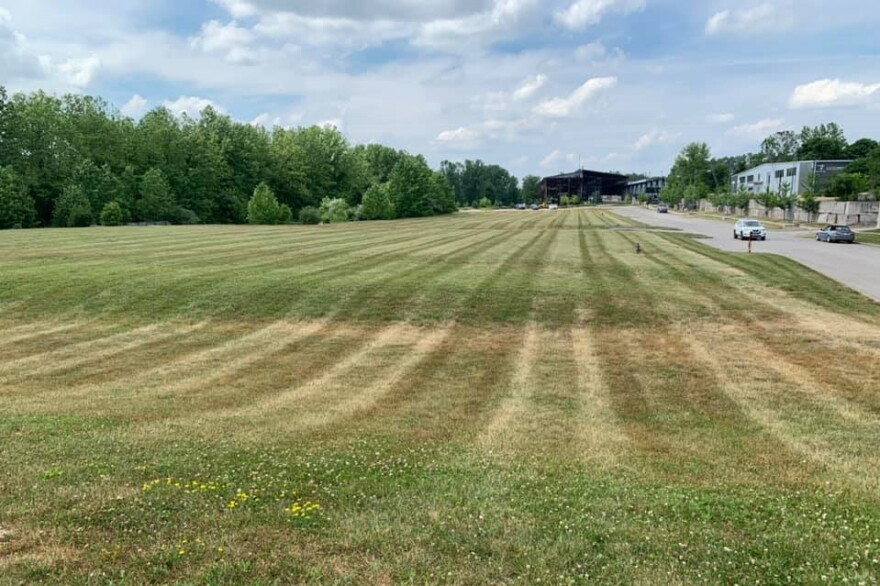 The field where BWFM in the Summer will be held.