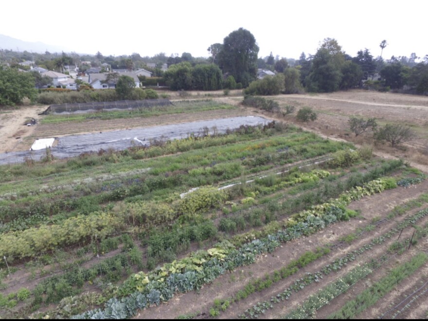 Fairview Gardens Farm in Goleta