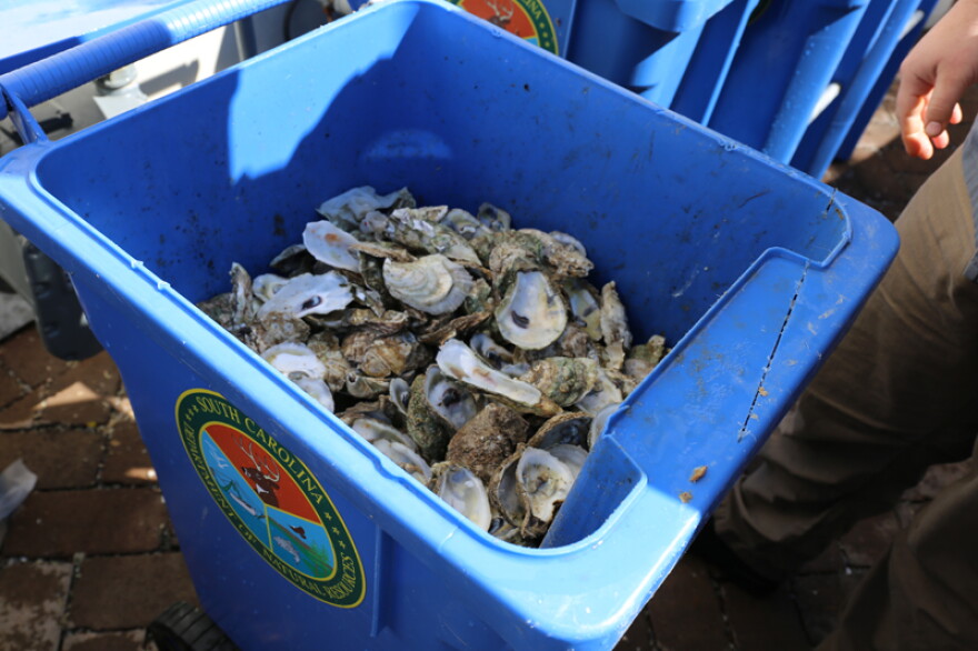 The Darling Oyster Bar on King Street fills up six bins of empty oyster shells a week for recycling with the Department of Natural Resources.