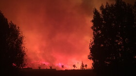 The 2018 Woolsey Fire burned nearly 100,000 acres of land in Ventura and Los Angeles Counties, including more than 20,000 acres of land in the Santa Monica Mountains National Recreation Area.