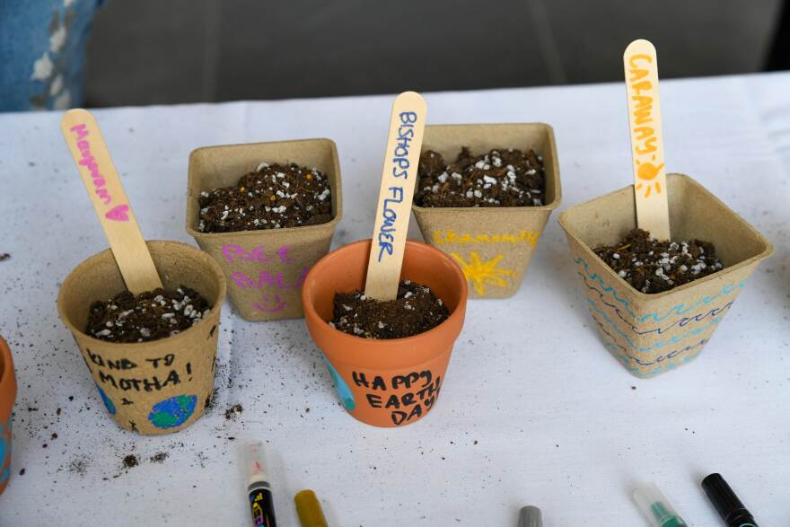 Planted seeds at the University of Scranton's student-led Earth Day Fair.