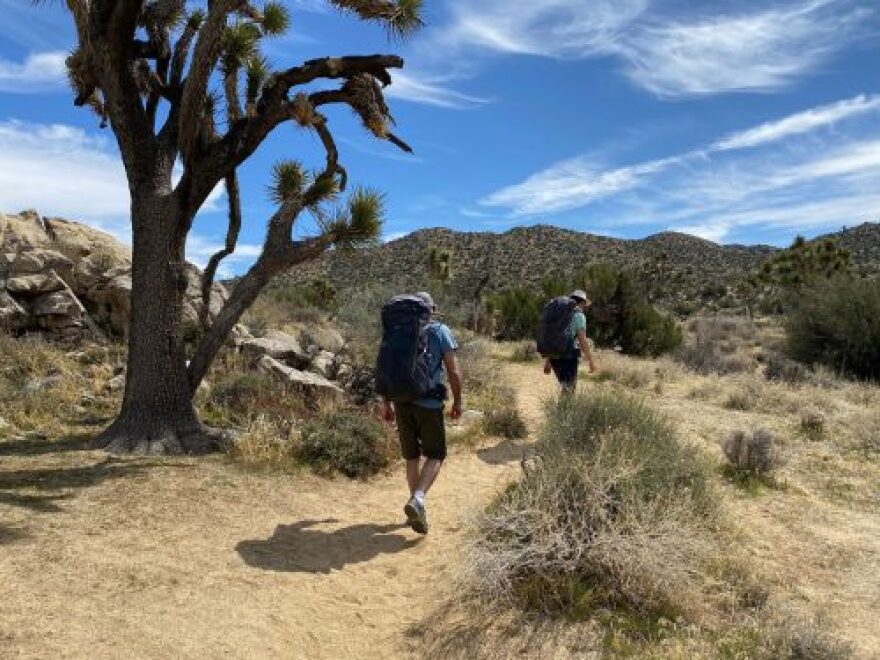 In this undated photo provided by Cris Hazzard, he hikes through Joshua Tree Hill National Park in California.