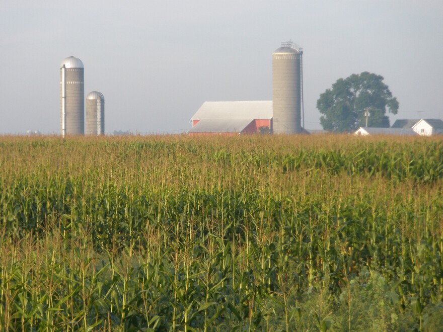 Herbicides and other pesticides are commonly used on cornfields.