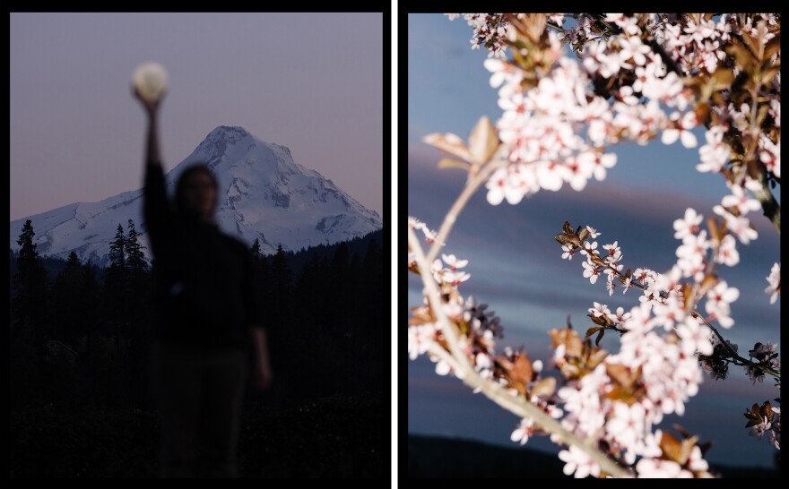 Almost three years ago, Will Matsuda started a series of photographs inspired by a 200-year-old Japanese card game called hanafuda, which translates to "flower cards." He grew up playing the game with his family, and that has helped him reconnect with the visual language of his own culture.