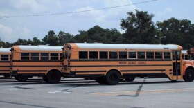 buses2