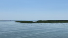 Bay waters off the Eastern Shore seen in 2022.