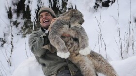 Steve Kroschel with a lynx.