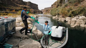 In 2024 and 2023, contractors and officials with the Idaho State Department of Agriculture treated the Snake River with a copper-based chemical called Natrix to kill quagga mussels.