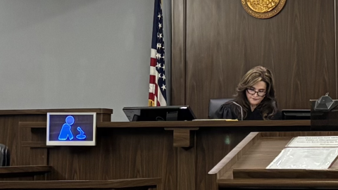 Judge Susanne Wilson Bullard presides over a case in Courtroom 3D of the Alachua County Family and Civil Justice Center on Thursday, Feb. 12, 2026. Two cases involved potential immigration policies in a day Wilson Bullard referred to as “the longest” docket she can remember.