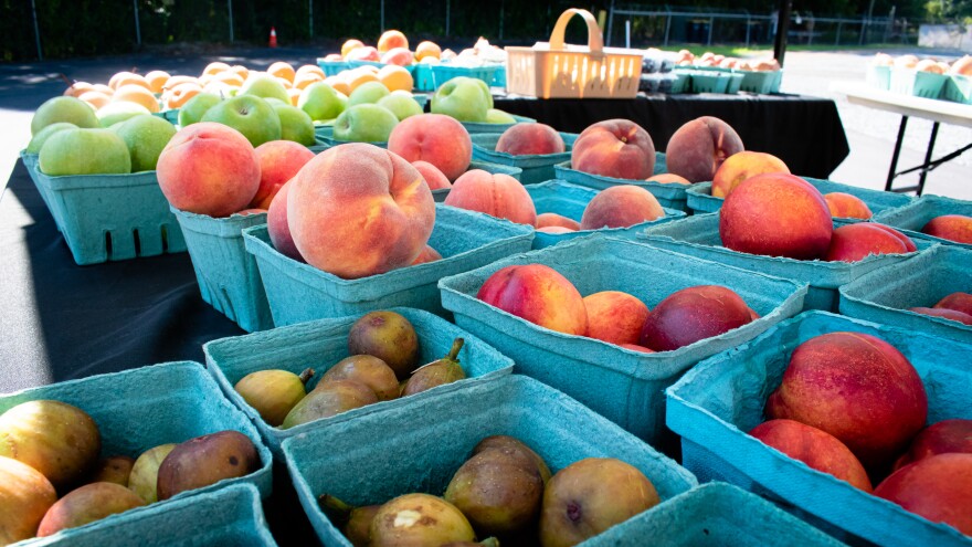 The farm stand is only open a few hours once a week, but it’s the closest source of fresh produce for the surrounding Hoskins community.