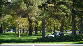 A photo of a homeless encampment in a park.