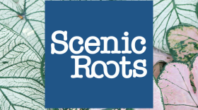 Scenic Roots - Weds 5/20/20