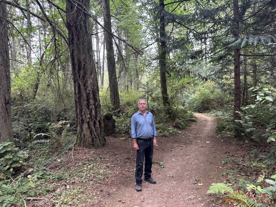 A grey-haired Caucasian man in jeans and a lighter blue denim shirt stands on a forest path next to underbrush, surrounded by trees.