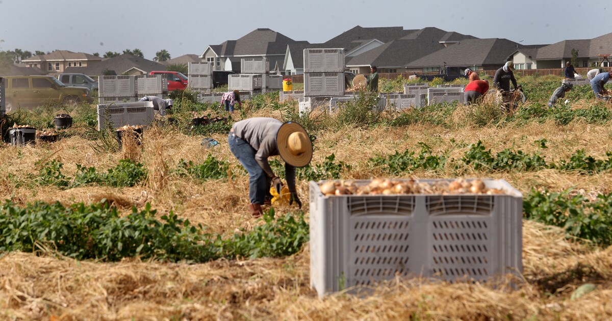 Parkinson’s Disease Is Consistently Linked to Pesticide Exposure. Farmworkers — and Nearby Communities — Are at Risk in Texas’s Rio Grande Valley.