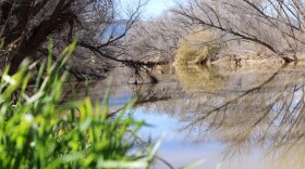 The Verde River flows through Camp Verde, Arizona on February 23, 2026. A recent "report card" gave the Verde watershed a C+, but environmentalists said they've made strides in monitoring the river.
