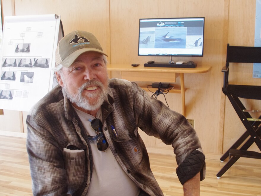 Ken Balcomb, longtime killer whale researcher, at the educational space of the Center for Whale Research, in Friday Harbor, Wash. He calls concerns about boat noise making it harder for orcas to find fish "baloney."