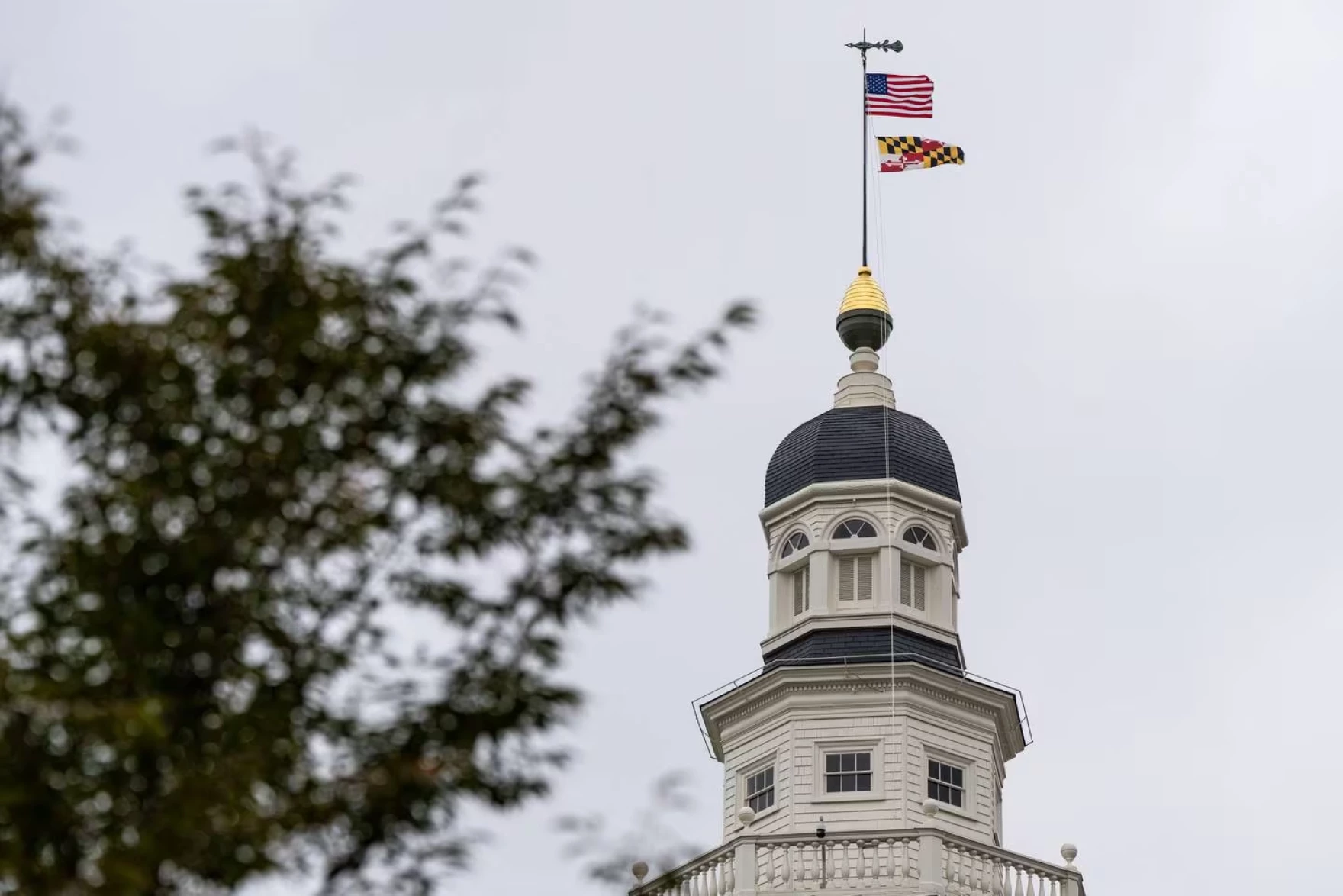 Maryland lawmakers will meet in August to discuss redistricting constitutional changes