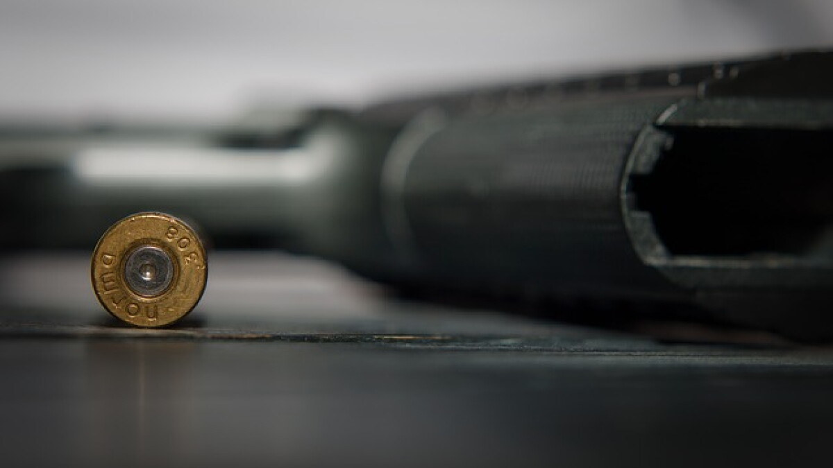 Republican plan would lower age to carry concealed weapon - Vimarsana News